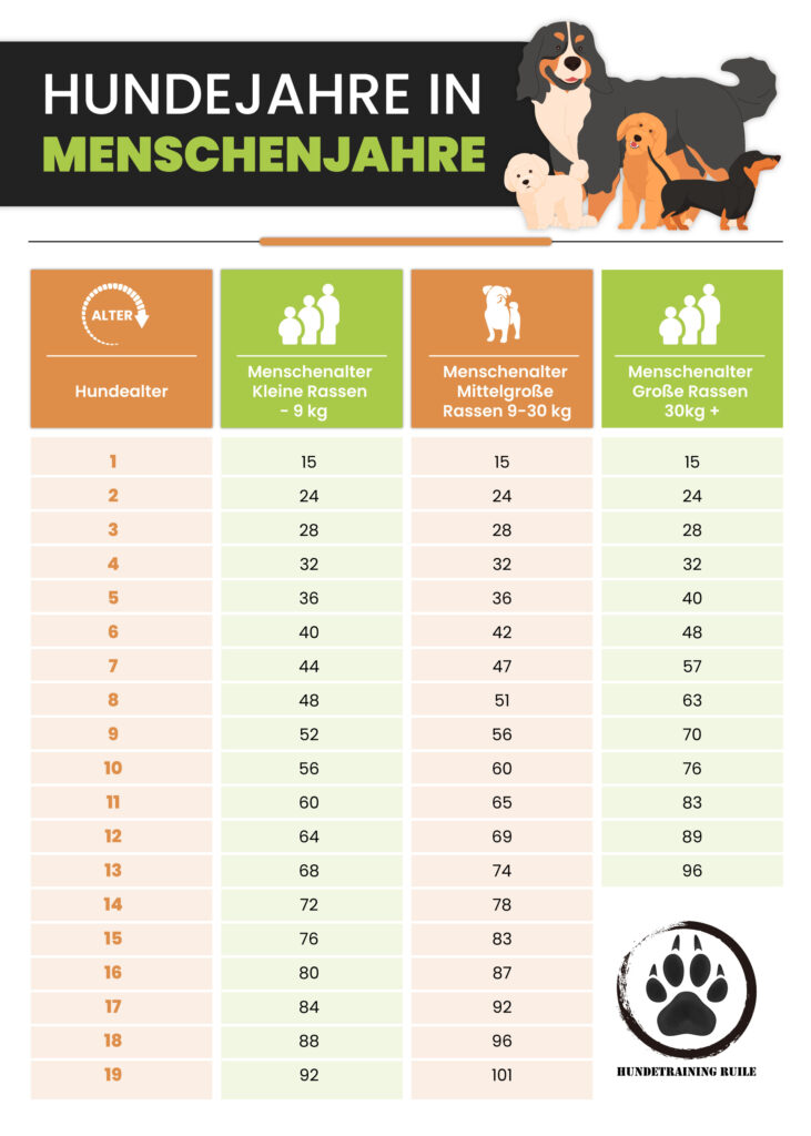 Hundejahre in Menschenjahre Tabelle